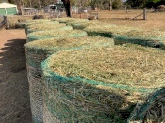 24 Bale Load Grassy Lucerne 4*4 Fertilised & Inoculated New Season Feb 2024
