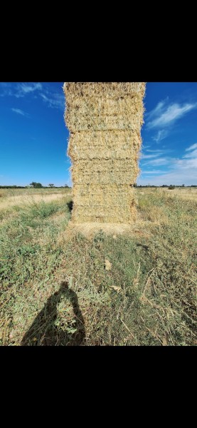 Oaten hay