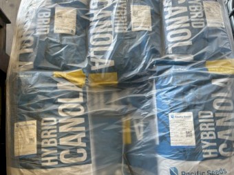 220kg Pacific Seeds Feast CL Grazing Canola