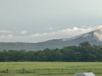 Excellent Weaner Hay