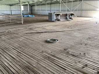 Sheep shed timber flooring