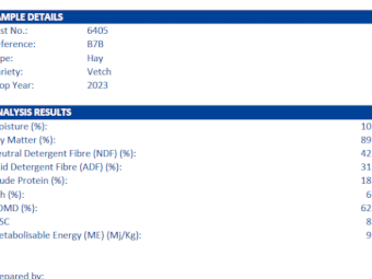 200mt Vetch Hay 640–650kg 8x4x3 Bales (New Season 23/24)