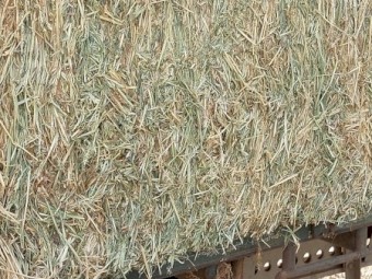 1000mt Awnless Wheaten Hay 500kg 8x4x3 Bales