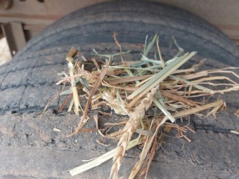 1000mt Awnless Wheaten Hay 500kg 8x4x3 Bales