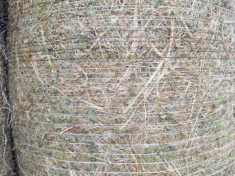 LabLab Hay 4 x 4 Bale