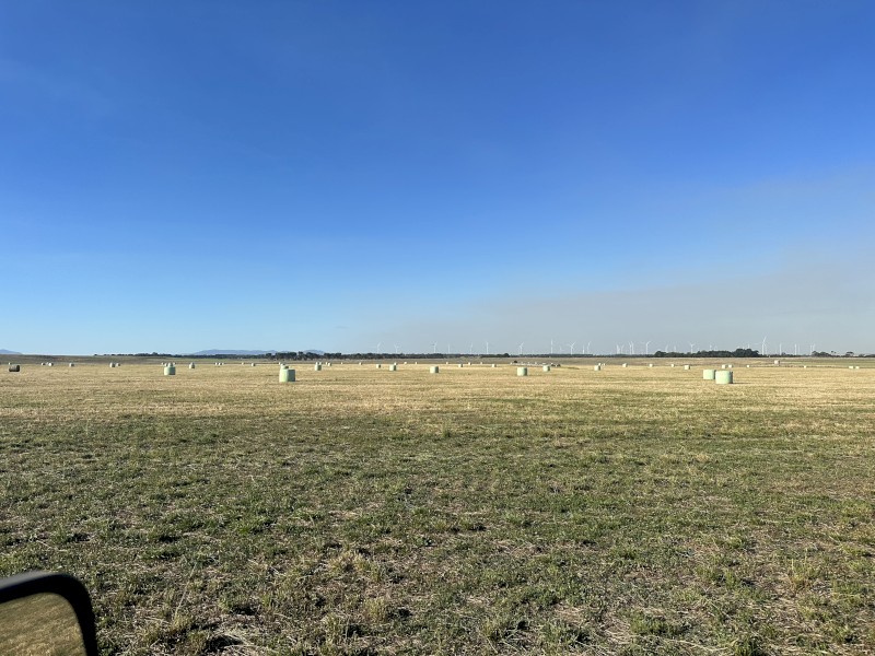 50 x Rye Grass Silage Round Bales