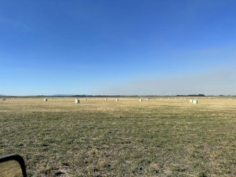 50 x Rye Grass Silage Round Bales