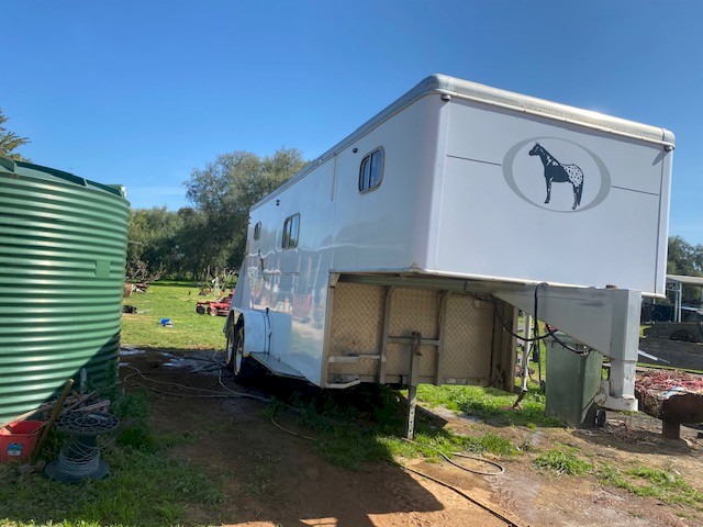 Devon Gooseneck 2  Horse Float