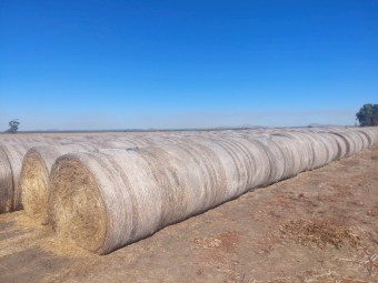 Rye, Phalaris, Clover Hay 5x4 Rolls