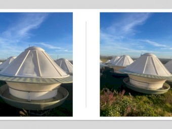 Roswell Cattle Feeders x 7