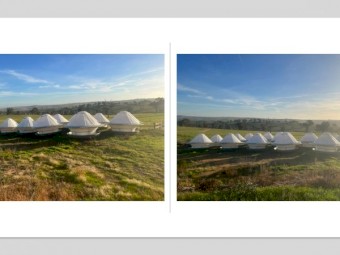 Roswell Cattle Feeders x 7