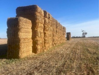 85mt Oaten Hay 600kg 8x4x3 Bales