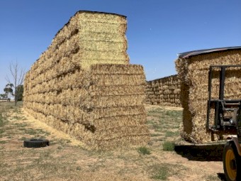 400mt Oaten Hay 580kg 8x4x3 Bales
