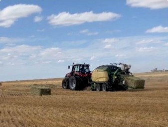 400mt Oaten Hay 580kg 8x4x3 Bales