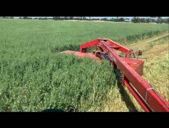 400mt Oaten Hay 580kg 8x4x3 Bales