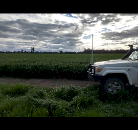 For Sale 520 acres Locksley VICTORIA