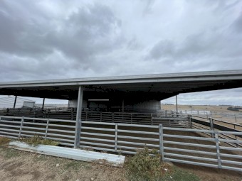Sheep Yards and Shed