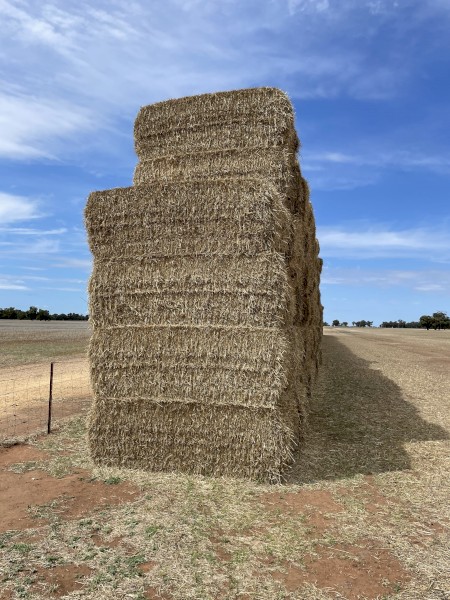 Wheat straw tailings 8x4x3