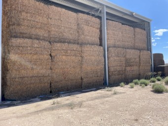 Oaten hay -2022 Season