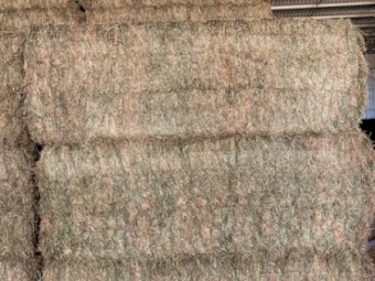 390mt Vetch Hay 650kg 8x4x3 Bales