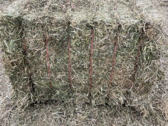 80mt Vetch Hay 8x4x3 Bales