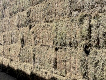 80mt Vetch Hay 8x4x3 Bales