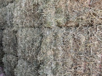 80mt Vetch Hay 8x4x3 Bales