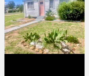 Deceased Estate House/