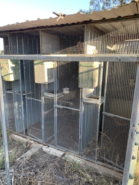 Bird cages | Farm Tender