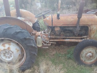 1957 FE-35 Massey-Ferguson diesel grey and gold