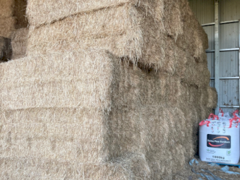 80 tonne of high ME 23' Oat Hay