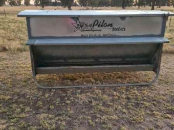 PILON GAL LICK FEEDER