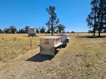 BROMAR & PILON GAL LICK SHEEP FEEDER