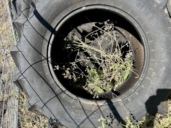 Tractor tyres 420/70 R28 Mitas new