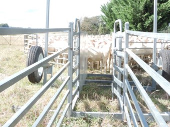 Arrow Portable Sheep Yards