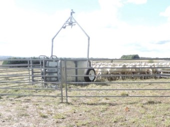Arrow Portable Sheep Yards
