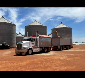 1999 Kenworth T401 Truck and Dog