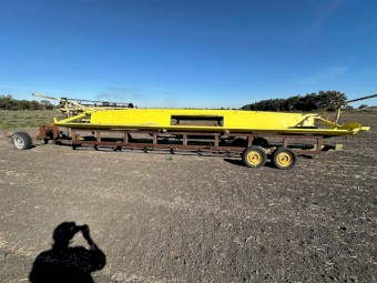 HONEY BEE SP30 Project