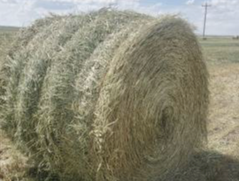 WANTED Clover Rye Hay