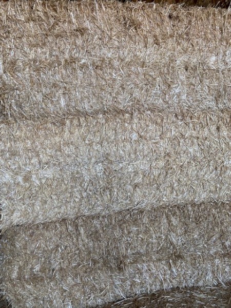 Shedded Rye Grass Hay 8X4X3 squares