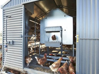 Leghorn Mobile Egg layering Sheds