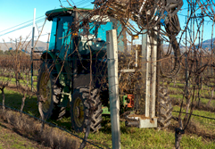 Klima Gen 2 Vine Pruner