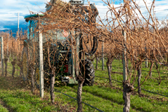 Klima Gen 2 Vine Pruner