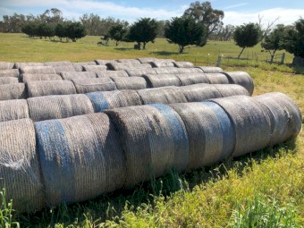 Oaten hay rolls
