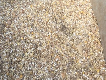 Beef Finisher - Grain/Mash Formulation