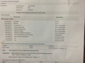 80mt Lucerne Hay 640kg 8x4x3 Bales