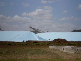 TARPS: GRAIN BUNKER / ALMOND BUNKER TARPS 19M X 30M  BRAND NEW