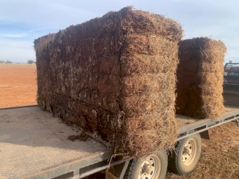 Vetch Bottom bales