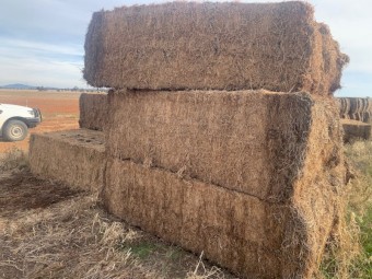 Vetch Bottom bales
