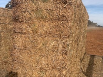 Vetch Bottom bales